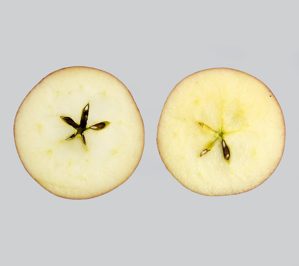 Kidd's Orange Red, apple